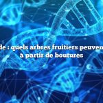 Réponse rapide : quels arbres fruitiers peuvent être cultivés à partir de boutures